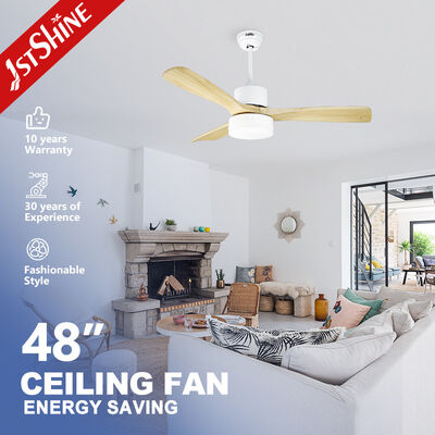 Good price Winter Season Smart Bldc Ceiling Fan With Light By Reversible Function online